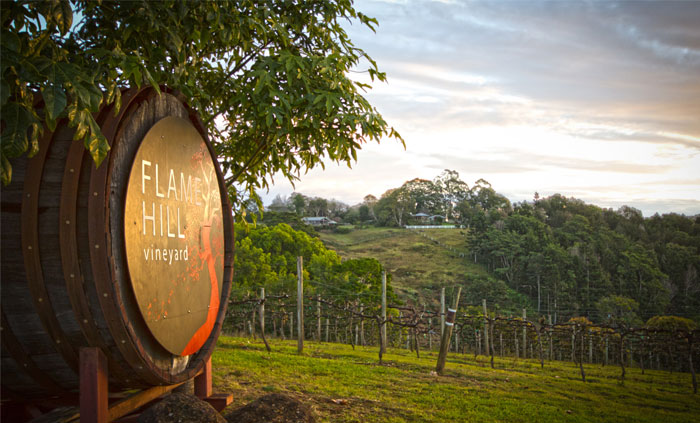 flame tree vineyard on the sunshine coast