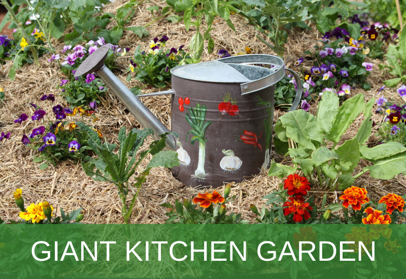 Giant Kitchen Garden