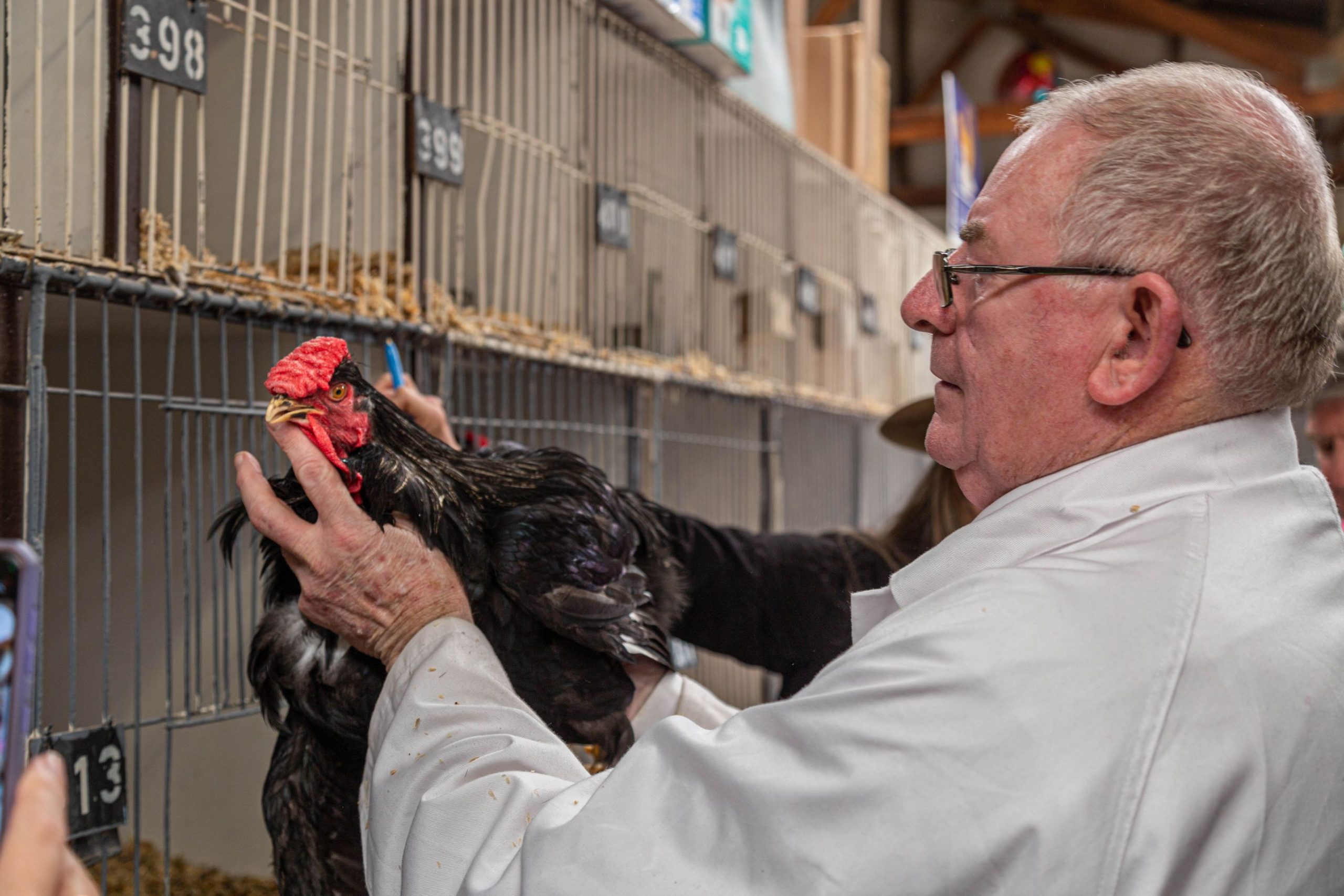 Poultry Judge at QGE