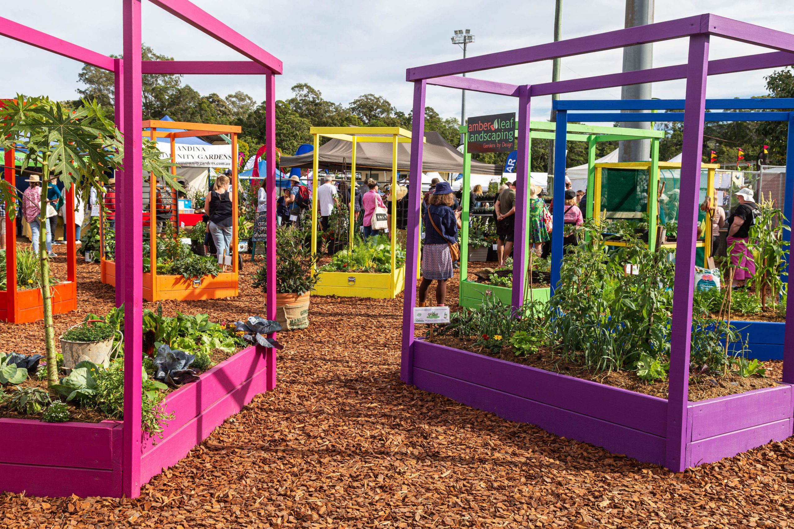 Giant Kitchen Garden