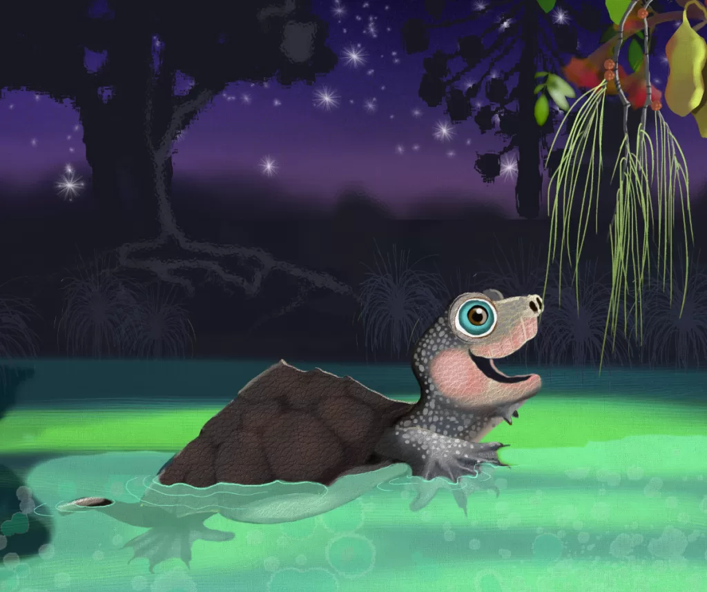 Rocky the River Turtle Rocky the River Turtle